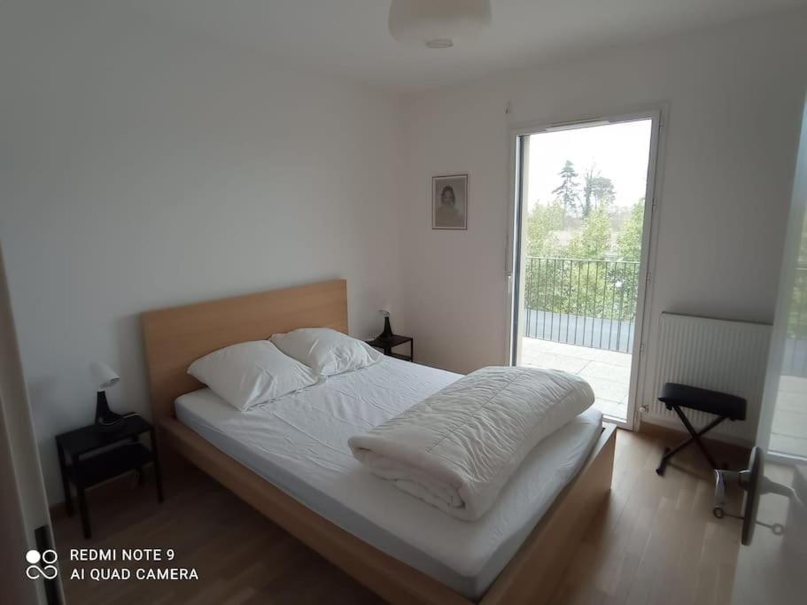 Superbe Appartement Avec Balcon Filant Cenon Exteriör bild